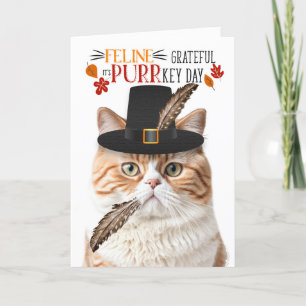 Tarjeta Festiva Agradecimiento a felino Naranja británico por el d