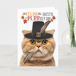 Tarjeta Festiva Agradecimiento a gato Naranja de pelo escocés por 