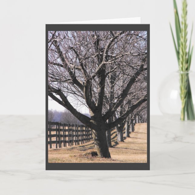 Tarjeta Festiva Agradezca a nuestros veteranos 6 (Anverso)