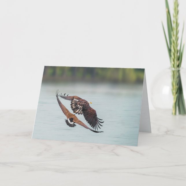 Tarjeta Festiva Águila calva y fauna en blanco (Anverso)