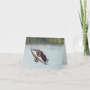 Tarjeta Festiva Águila calva y fauna en blanco en todas las ocasio