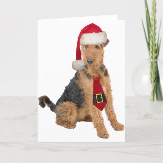 Tarjeta Festiva Airedale Terrier en el gorra de Santa