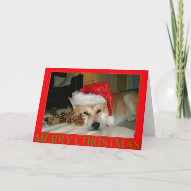 Tarjeta Festiva akita cuta con sombrero de santa y conos para navi (Anverso)