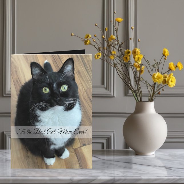 Tarjeta Festiva Al mejor foto y texto Personalizado de mamá gata (Subido por el creador)