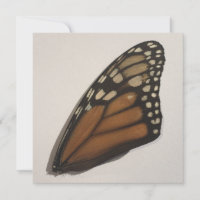 Ala De Mariposa Monarca En Papel