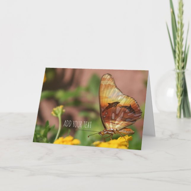 Tarjeta Festiva Alas mariposas - Mariposas y delfines (Anverso)