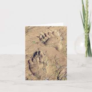 Tarjeta Festiva Alaskan Grizz Tracks - 4" x 5.6" Notecard
