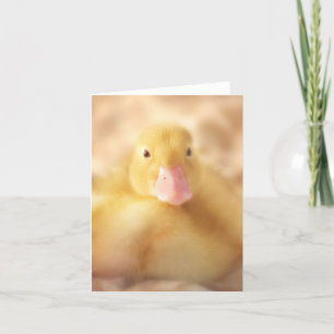 Tarjeta Festiva Alegre bebé de Pascua de Pato Amarillo Duckland