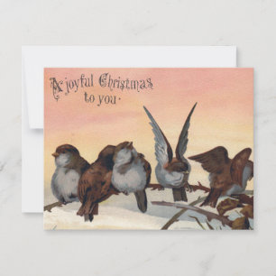 Tarjeta Festiva Alegre carta de ilustracion de pájaros Navidades