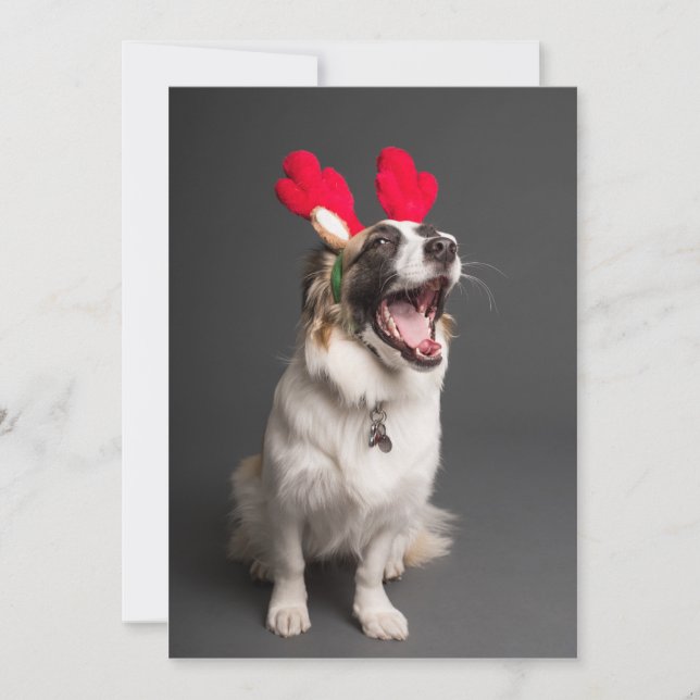 Tarjeta Festiva ¡Alegre y Feliz Todo! (Anverso)