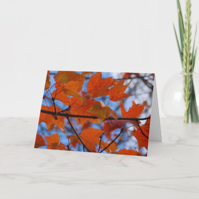 Tarjeta Festiva Alegres hojas de otoño (Anverso)