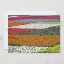 Tarjeta Festiva Alfombra de flores