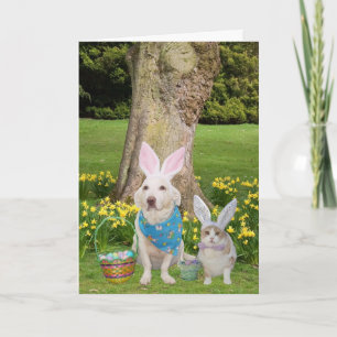 Tarjeta Festiva ¡Algunos conejitos te aman!