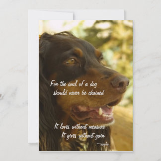 Tarjeta Festiva Alma de un perro