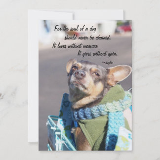Tarjeta Festiva Alma de un perro - Chihuahua
