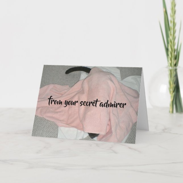 Tarjeta Festiva Almirante secreto Valentine del gato (Anverso)