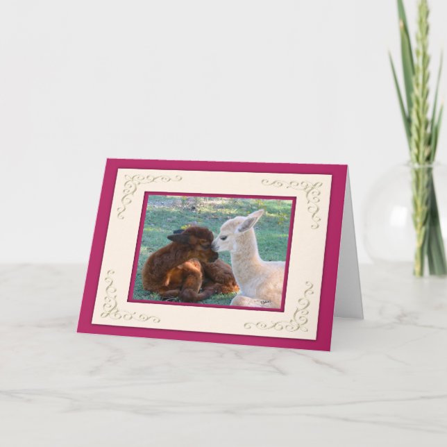 Tarjeta Festiva Alpaca Baby Love Valentines Day Cards (Anverso)