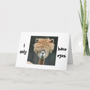 TARJETA FESTIVA ALPACA DICE "SOLO TENGO OJOS PARA TI"