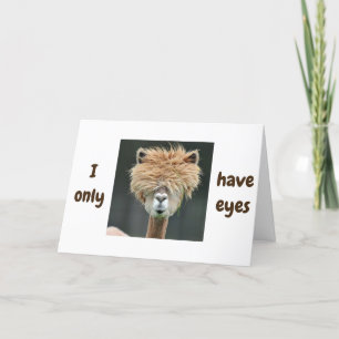 TARJETA FESTIVA ALPACA DICE ***SOLO TENGO OJOS PARA TI***