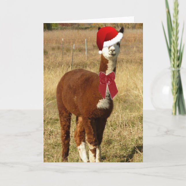 Tarjeta Festiva Alpaca Santa (Anverso)