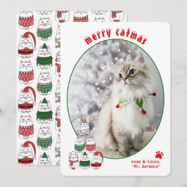 Tarjeta Festiva Amante de los Gatos Foto de Gato Festivo Lindo Nav