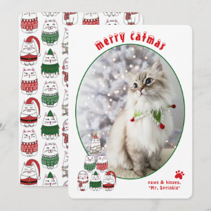 Tarjeta Festiva Amante de los Gatos Foto de Gato Festivo Lindo Nav