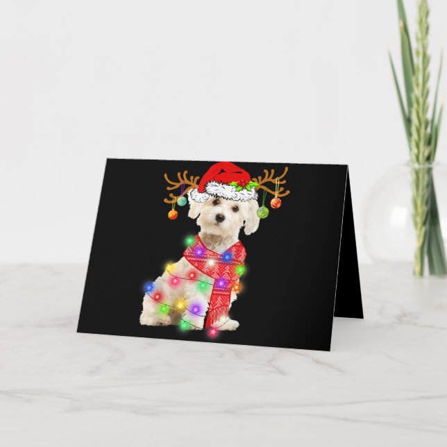 Tarjeta Festiva Amante de los Perros | Gorro de Santa Maltés Luces (Anverso)