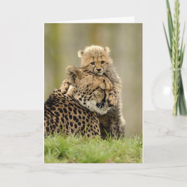 Tarjeta Festiva Amar a mi mamá (Anverso)