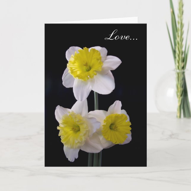 Tarjeta Festiva Amarillo en blanco Daffodil Valentine (Anverso)