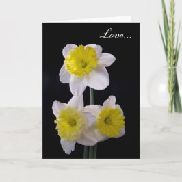 Tarjeta Festiva Amarillo en blanco Daffodil Valentine