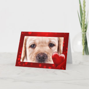 Tarjeta Festiva Amarillo Labrador Valentine Puppy
