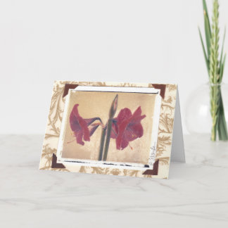 Tarjeta Festiva amaryllis_2