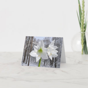 Tarjeta Festiva Amaryllis blanca y nieve I