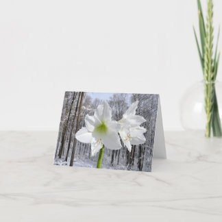 Tarjeta Festiva Amaryllis blanca y nieve I