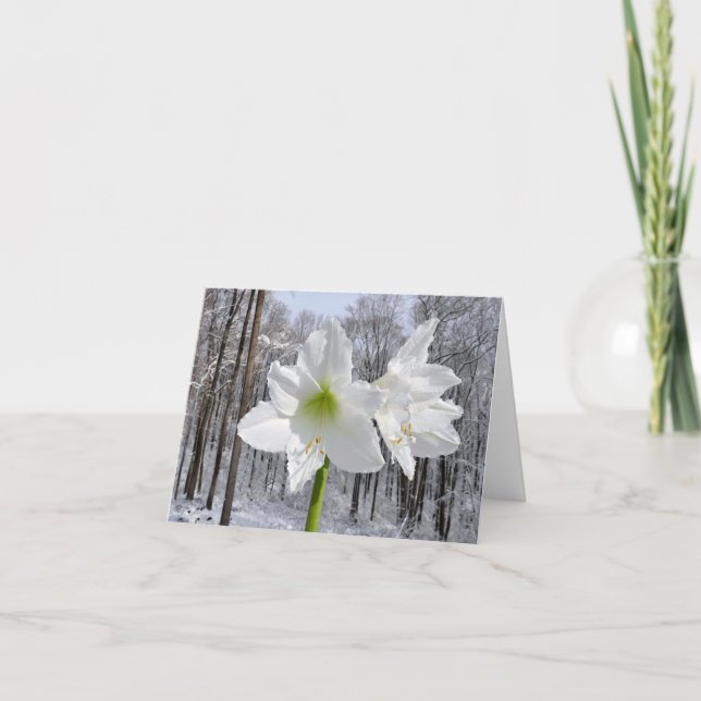 Tarjeta Festiva Amaryllis blanca y nieve I (Anverso)