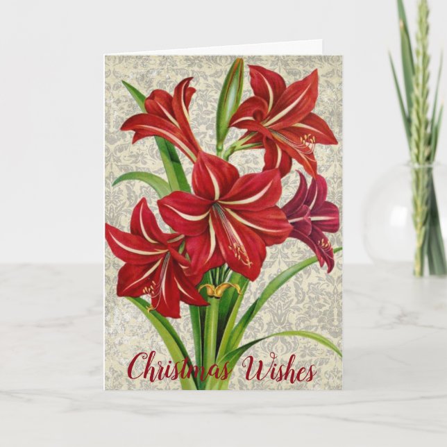 Tarjeta Festiva Amaryllis, Navidades Deseos. (Anverso)