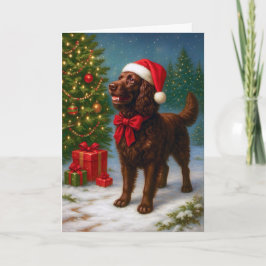 Tarjeta Festiva American Water Spaniel Holiday Card