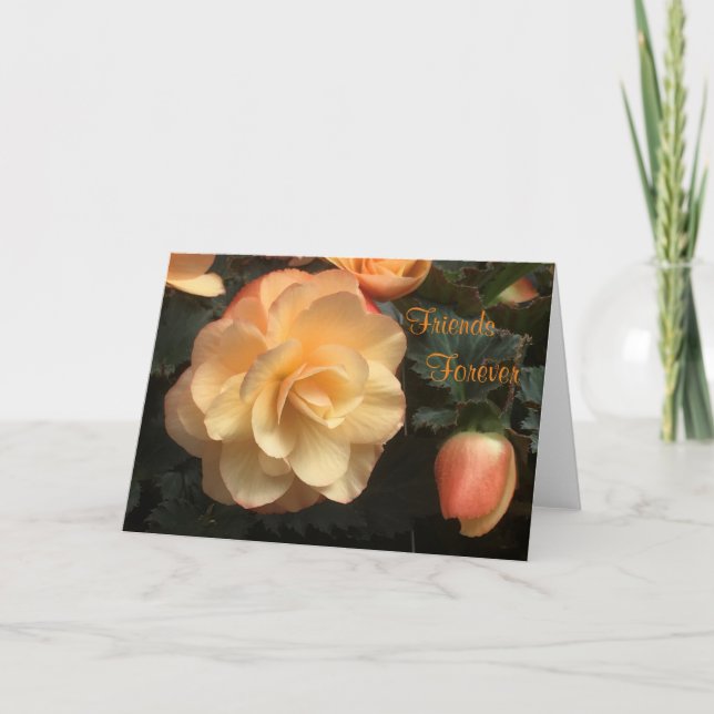 Tarjeta Festiva Amigos para siempre (Anverso)