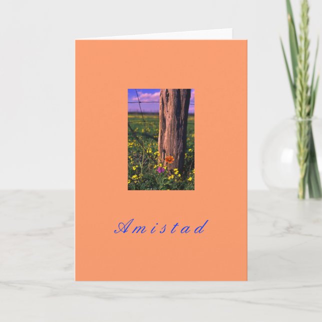 Tarjeta Festiva "Amistad" (Anverso)