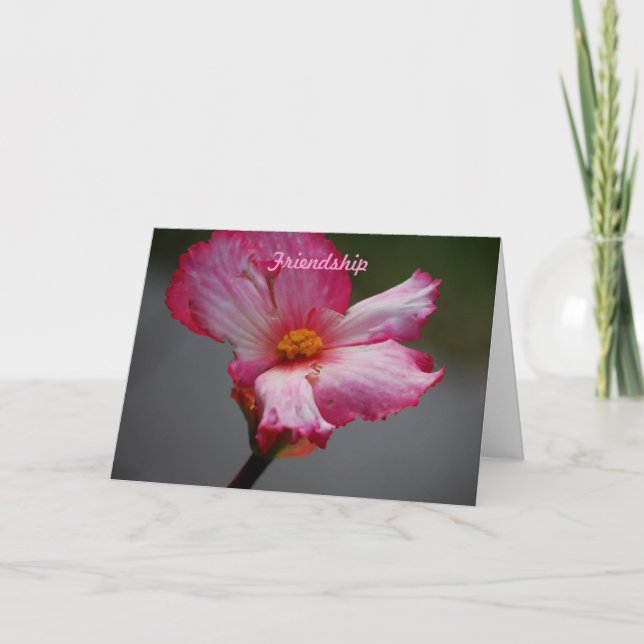 Tarjeta Festiva Amistad (Anverso)