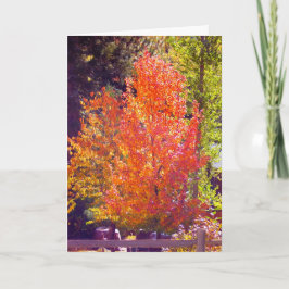 Tarjeta Festiva Amo la carta de otoño