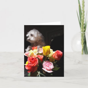 Tarjeta Festiva Amo la margarita