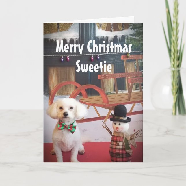 TARJETA FESTIVA AMOR A LA NOCHE O BIEN A LOS NAVIDADES (Anverso)