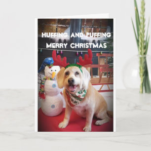 TARJETA FESTIVA AMOR A LA NOCHE O BIEN A LOS NAVIDADES