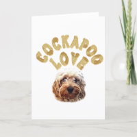 Amor de Cockapoo