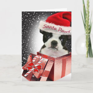 Tarjeta Festiva Amor de las patas de Boston Terrier Santa que