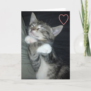 Tarjeta Festiva Amor del gatito