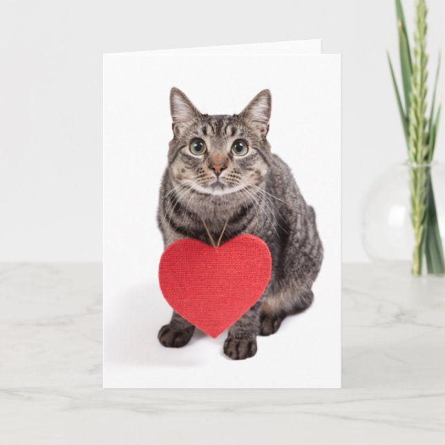 Tarjeta Festiva Amor del gato (Anverso)