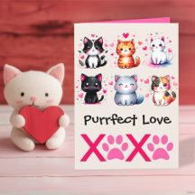 Amor Perfecto Tema de Gato Adorable para San Valen