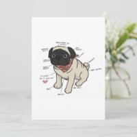 Anatomía De La Gráfica De Perros De Pug